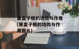 算盘子根的功效与作用(算盘子根的功效与作用图片)