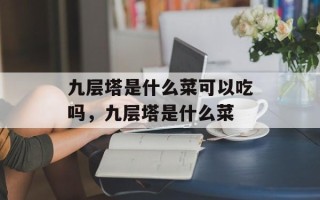 九层塔是什么菜可以吃吗，九层塔是什么菜