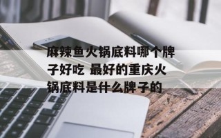 麻辣鱼火锅底料哪个牌子好吃 最好的重庆火锅底料是什么牌子的