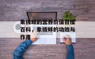 象拔蚌的营养价值百度百科，象拔蚌的功效与作用