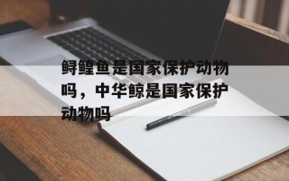 鲟鳇鱼是国家保护动物吗，中华鲸是国家保护动物吗