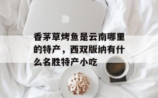 香茅草烤鱼是云南哪里的特产，西双版纳有什么名胜特产小吃