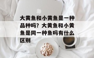大黄鱼和小黄鱼是一种品种吗？大黄鱼和小黄鱼是同一种鱼吗有什么区别