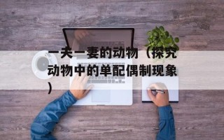 存在即合理英文（理解存在即合理的英文表达）