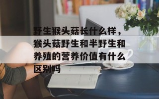 野生猴头菇长什么样，猴头菇野生和半野生和养殖的营养价值有什么区别吗