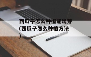 西瓜子怎么种植能出芽(西瓜子怎么种植方法)