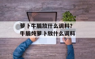 萝卜牛腩放什么调料？牛腩炖萝卜放什么调料