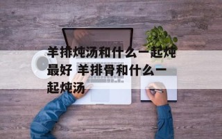 羊排炖汤和什么一起炖最好 羊排骨和什么一起炖汤