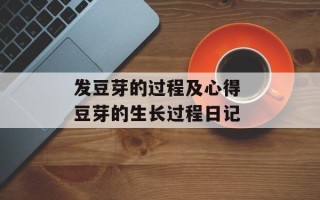 发豆芽的过程及心得 豆芽的生长过程日记