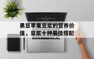 黑豆苹果豆浆的营养价值，豆浆十种最佳搭配
