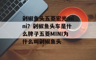 剁椒鱼头五菱宏光mini？剁椒鱼头车是什么牌子五菱MINI为什么叫剁椒鱼头