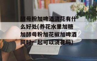 酵母粉加啤酒浇花有什么好处(养花水里加糖加酵母粉加花椒加啤酒同时一起可以浇花吗)