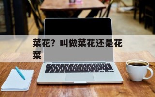 菜花？叫做菜花还是花菜