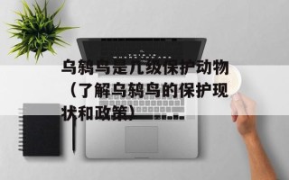 深情密码主题曲（感动人心的音乐）