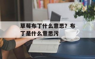 草莓布丁什么意思？布丁是什么意思污