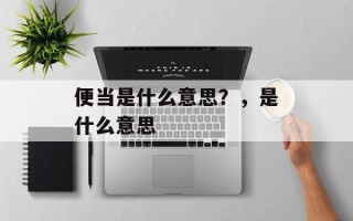 便当是什么意思？，是什么意思