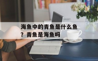 海鱼中的青鱼是什么鱼？青鱼是海鱼吗