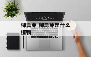 柳蒿芽 柳蒿芽是什么植物