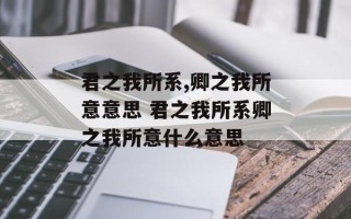 君之我所系,卿之我所意意思 君之我所系卿之我所意什么意思