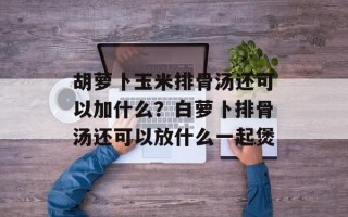 胡萝卜玉米排骨汤还可以加什么？白萝卜排骨汤还可以放什么一起煲