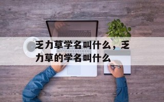 乏力草学名叫什么，乏力草的学名叫什么
