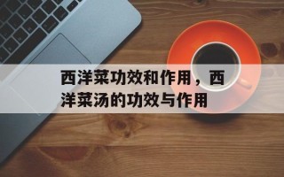 西洋菜功效和作用，西洋菜汤的功效与作用
