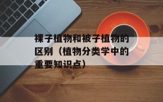 蓝梅图片蓝莓种植，蓝梅图片蓝莓树开花