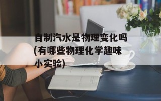 自制汽水是物理变化吗(有哪些物理化学趣味小实验)