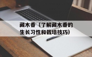 苹果酒屋的法则，苹果酒屋的法则观后感