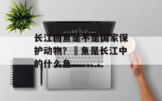 长江回鱼是不是国家保护动物？鮰鱼是长江中的什么鱼