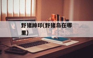 野猪蹄印(野猪岛在哪里)