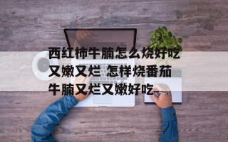 西红柿牛腩怎么烧好吃又嫩又烂 怎样烧番茄牛腩又烂又嫩好吃