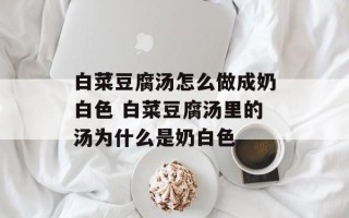 白菜豆腐汤怎么做成奶白色 白菜豆腐汤里的汤为什么是奶白色