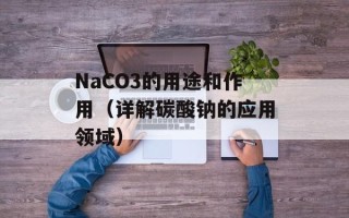 y-browser软件介绍（了解y-browser浏览器的特点和功能）