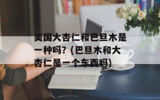 美国大杏仁和巴旦木是一种吗？(巴旦木和大杏仁是一个东西吗)