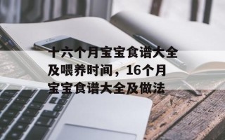 十六个月宝宝食谱大全及喂养时间，16个月宝宝食谱大全及做法