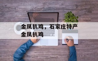 金凤扒鸡，石家庄特产金凤扒鸡