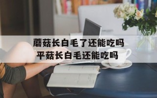 蘑菇长白毛了还能吃吗 平菇长白毛还能吃吗