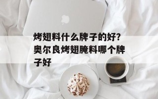 烤翅料什么牌子的好？奥尔良烤翅腌料哪个牌子好