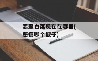 翡翠白菜现在在哪里(慈禧哪个被子)