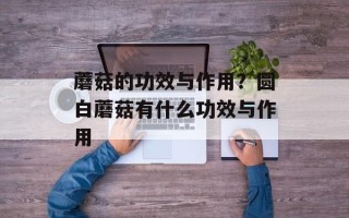 蘑菇的功效与作用？圆白蘑菇有什么功效与作用