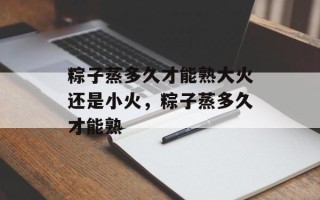 粽子蒸多久才能熟大火还是小火，粽子蒸多久才能熟