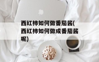 西红柿如何做番茄酱(西红柿如何做成番茄酱呢)