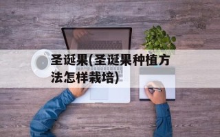 圣诞果(圣诞果种植方法怎样栽培)