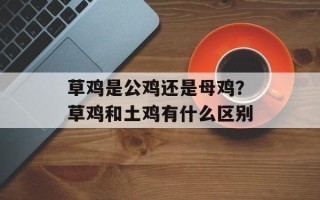 草鸡是公鸡还是母鸡？草鸡和土鸡有什么区别