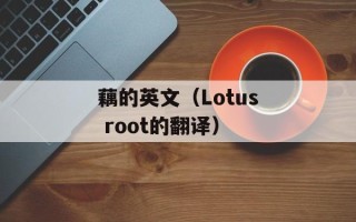 茄子有什么营养价值，茄子有什么营养价值视频