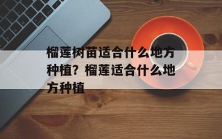 榴莲树苗适合什么地方种植？榴莲适合什么地方种植