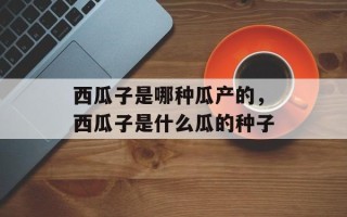西瓜子是哪种瓜产的，西瓜子是什么瓜的种子
