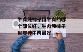 牛肉炖柿子用牛肉的哪个部位好，牛肉炖柿子用哪种牛肉最好
