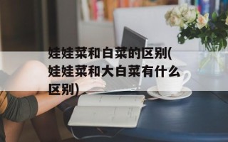 娃娃菜和白菜的区别(娃娃菜和大白菜有什么区别)